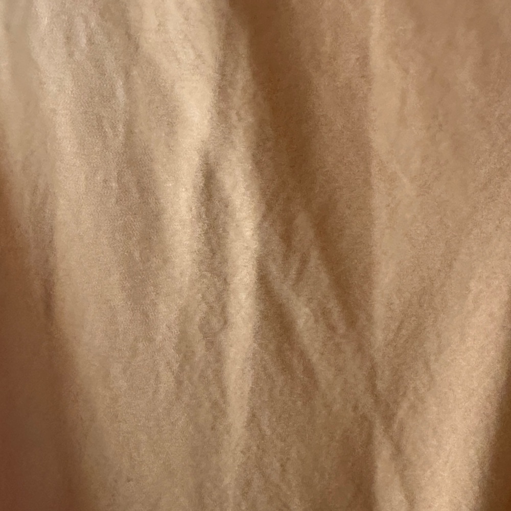 Favorite Daughter Rust Maxi Slip Skirt - Picture 4 of 6